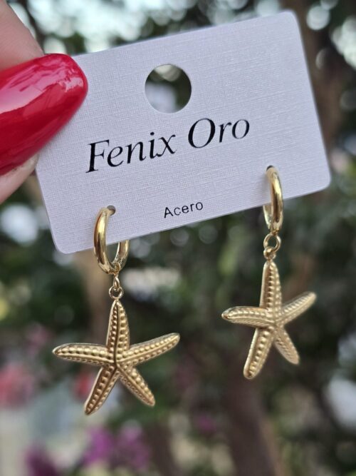 Argollas estrella 025