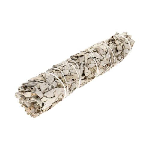 Salvia blanca grande