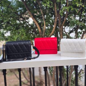 Bolso1176