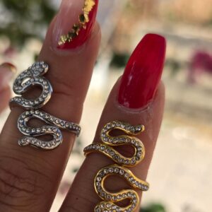 Anillo bicha brillante